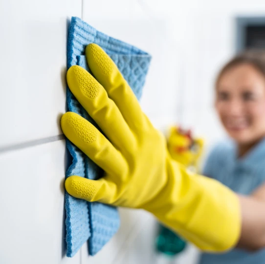 bathroom cleaning services