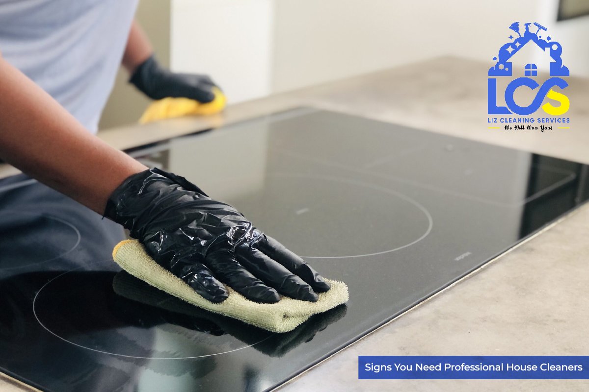 Professional house cleaners